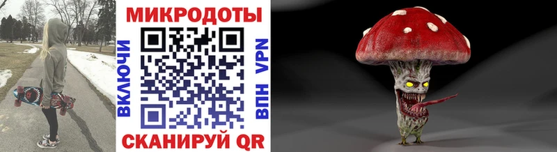 Псилоцибиновые грибы Psilocybine cubensis  Пойковский 