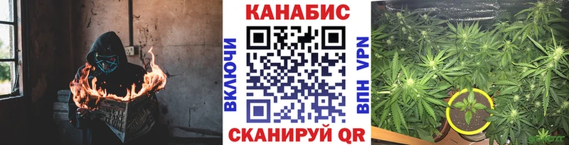 блэк спрут вход  продажа наркотиков  Пойковский  Бошки марихуана THC 21% 